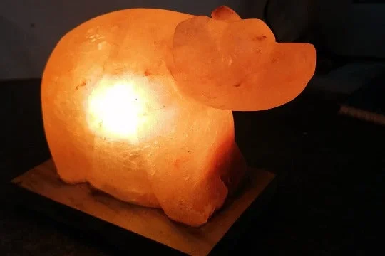 Himalayan Salt Lamps with a Natural Pink Glow for a Soothing AmbianceDog shape Himalayan salt lamp