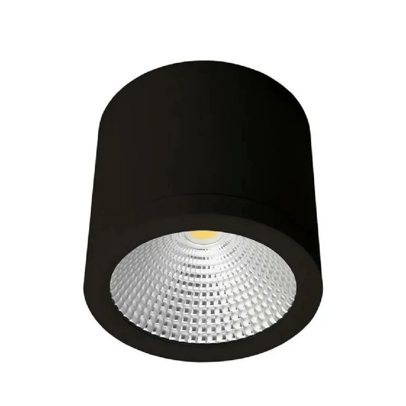 Salt Lamps with a Stand - Alone Design for a Statement Piece in a Room20W LED Black Tri-Colour 120mm Surface Mount Downlight