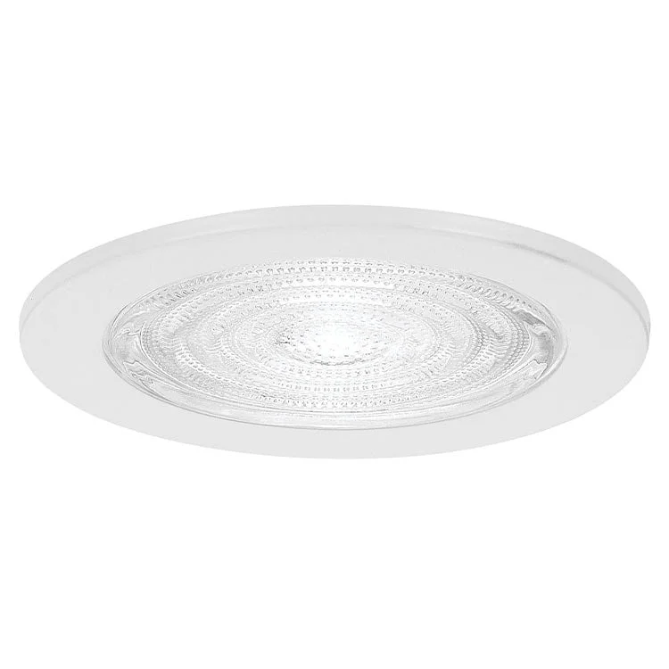 Color - Changing Recessed Lights for Mood LightingShower Trim Recessed Trims 4 Inch Fresnal Glass White C-UL-US