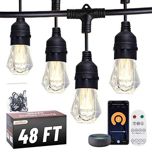 String Lights with a Vintage - Style Bulb for a Nostalgic Lookaddlon 48FT Smart Outdoor String Lights with 24 Diamond Appearance Bulbs, APP & Remote Control Dimmable, Shatterproof Waterproof Patio Lights Work with Alexa for Patio, Porch, Warm White