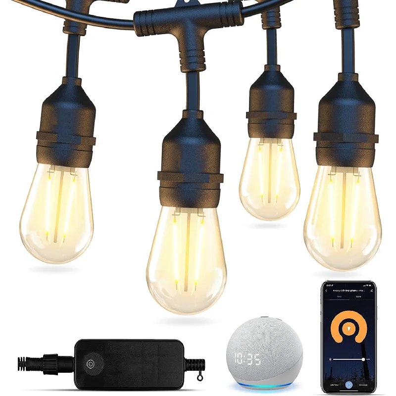 String Lights with a Timer Function for Automatic On/OffSL102 LED Dimmable Smart Bistro String Lights Outdoor Weatherproof 12V Edison Bulbs